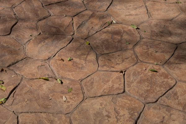 Concrete Texturing in Colorado Springs
